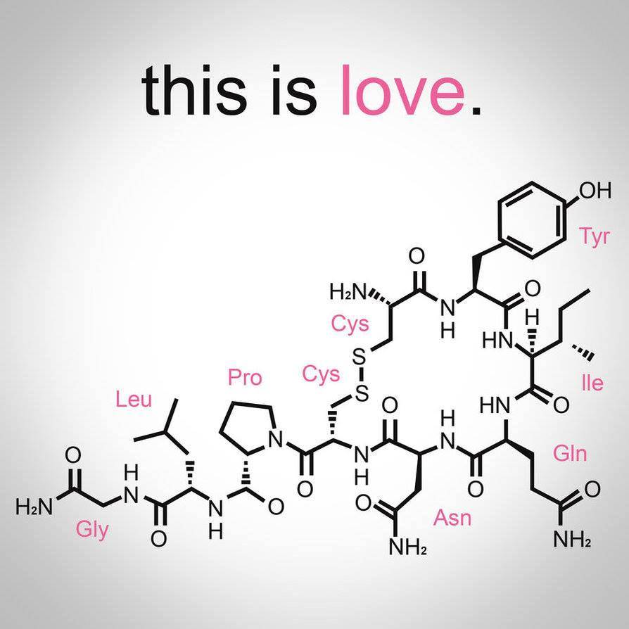 Love-Homone.jpg